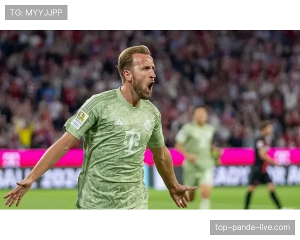 英格兰0-0加纳回顾:L组第二轮双方各取一分 英格兰0-0加纳回顾:L组第二轮双方各取一分